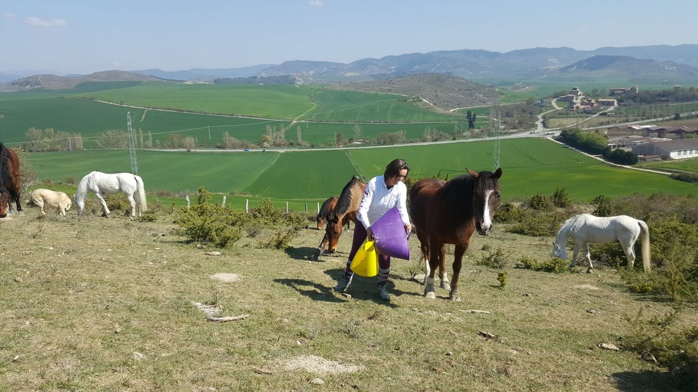 #yoentrenoencasa con Marina Zapata
